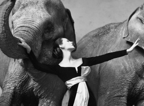 Richard Avedon: Ο φωτογράφος που άλλαξε τη φωτογραφία μόδας και διασημοτήτων