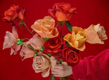 Άνδρες ή γυναίκες πιο ρομαντικοί; Μελέτη καταρρίπτει τα στερεότυπα