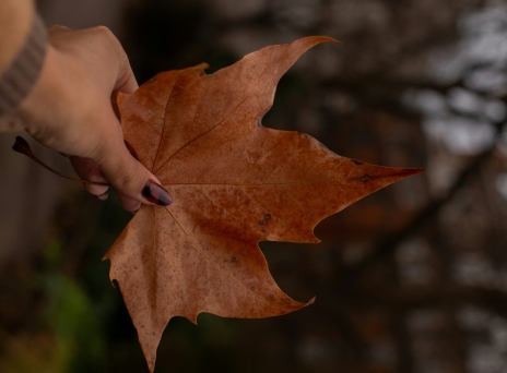 Φθινοπωρινό μανικιούρ: Η νέα τάση από την Χείλι Μπίμπερ 