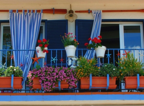 8 δημοφιλή φυτά για να βάλετε την Άνοιξη στο μπαλκόνι σας	