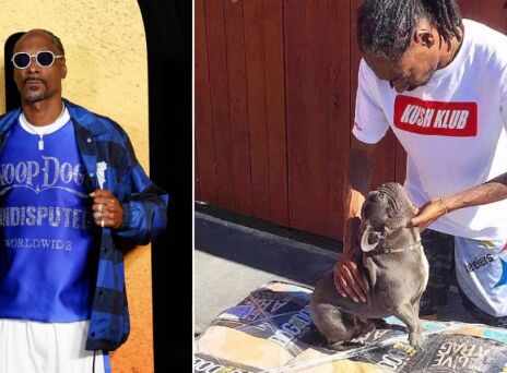 Ο Snoop Dogg θρηνεί για τον θάνατο του σκύλου του, Juelz, που του χάρισε ο Wiz Khalifa το 2014 - «Μου λείπει ο σκύλος μου», έγραψε ο ράπερ στο Instagram.
