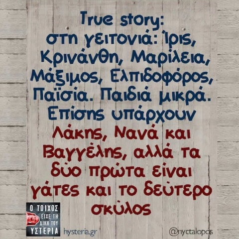Αστεία memes, ατάκες, YOLO βίντεο, viral, αστεία video στο TikTok που ανέβηκαν στο διαδίκτυο και μας έκαναν να γελάσουμε.