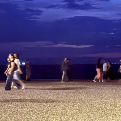 Βρήκαμε μια νέα γάτα, κι αυτά είναι καλά νέα