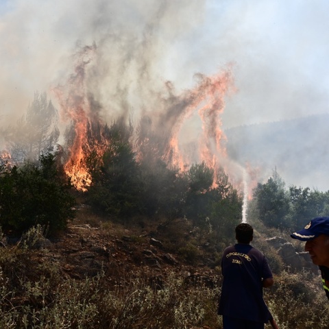 Πυροσβέστες επιχειρούν για την κατάσβεση πυρκαγιάς