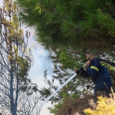 fwtia