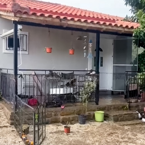 Βγήκαν από τα παράθυρα μαζί με τρία σκυλιά και κολύμπησαν -  Τουρίστες σώθηκαν από «θαύμα» στη Φοινικούντα