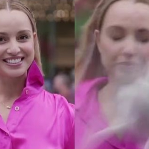 Νέα Ζηλανδία: Γλάρος τραυμάτισε δημοσιογράφο σε ζωντανή μετάδοση