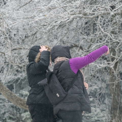 κακοκαιρία, χιονια