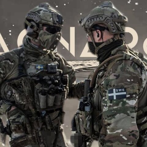 Σουηδοί στρατιώτες