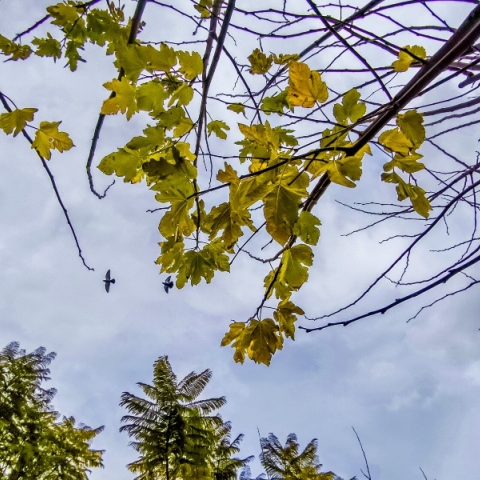 Καιρός αύριο