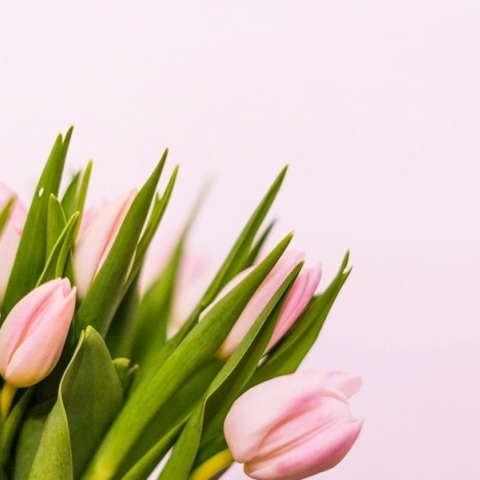 Εορτολόγιο: Σήμερα, 9 Μαρτίου 2026 γιορτάζει…