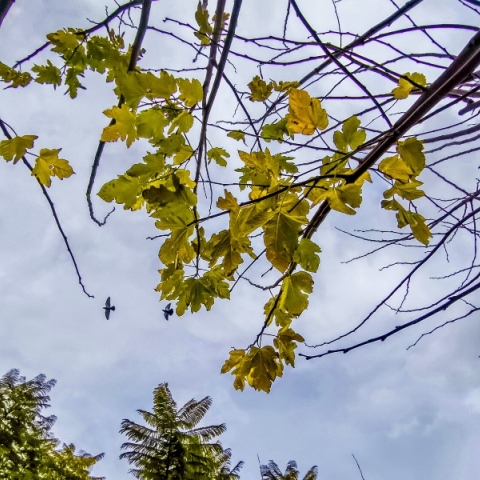 Αίθριος ο καιρός σήμερα