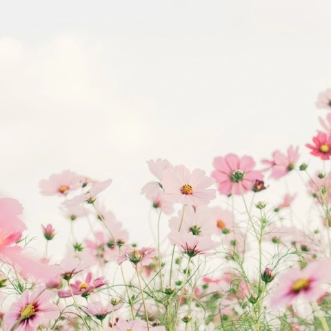 Εορτολόγιο: Σήμερα 12 Μαρτίου 2026 γιορτάζει…