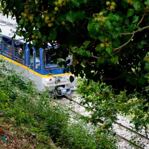 Ο οδοντωτός σιδηρόδρομος Καλαβρύτων