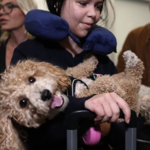 Επαναπατρίστηκαν οι Έλληνες με τα κατοικίδια τους από το Άμπου Ντάμπι