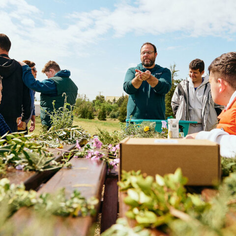 Αναδάσωση της Motor Oil