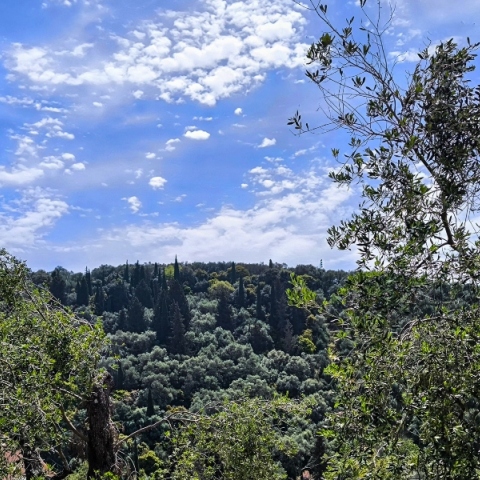 Αίθριος ο καιρός αύριο με λίγες βροχές σε Κρήτη και Δωδεκάνησα
