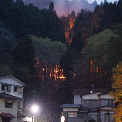 Δασικές πυρκαγιές εκτός ελέγχου στη βόρεια Ιαπωνία – Πάνω από 3.000 άνθρωποι εκκένωσαν τα σπίτια τους