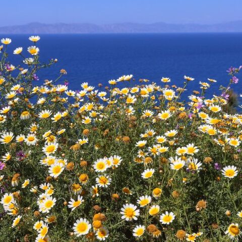 «Θα κοιμηθούμε με άνοιξη, θα ξυπνήσουμε με χειμώνα» - Η στροφή 180 μοιρών του καιρού την Πρωτομαγιά