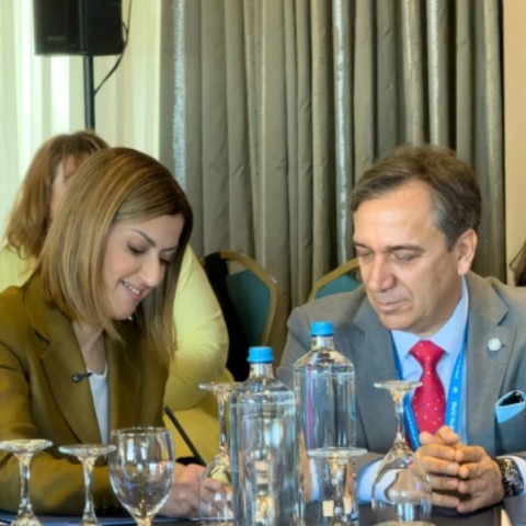 Αγαπηδάκη: Προτεραιότητα η απρόσκοπτη πρόσβαση των πολιτών στις υπηρεσίες ψυχικής υγείας
