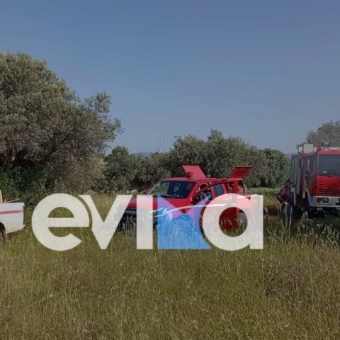 Σοβαρό τροχαίο στην Εύβοια, αυτοκίνητο έπεσε πάνω σε δέντρο και έπιασε φωτιά