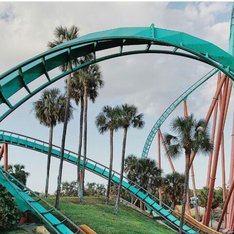 Έφαγε κοτομπουκιές σε roller coaster και του απαγόρευσαν την είσοδο εφ’ όρου ζωής
