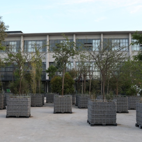 Attracted to trees: Μια βραδιά νέων περφόρμανς στην Πειραιώς 260