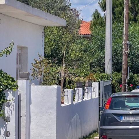 Αιγιαλεία: Ο δράστης πυροβόλησε στο κεφάλι και μετά μαχαίρωσε τον 26χρονο - Η μητέρα έδωσε μάχη με τον δολοφόνο