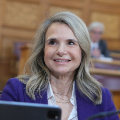 Μ. Αποστολάκη για κόκκινα δάνεια: Η εφαρμογή της απόφασης του Αρείου Πάγου δεν είναι θέμα επιλογής 