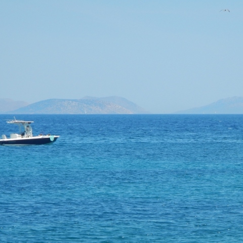 Καιρός αύριο: Λιακάδα με χαμηλά μποφόρ - Κοντά στους 35 βαθμούς η θερμοκρασία κοντά 