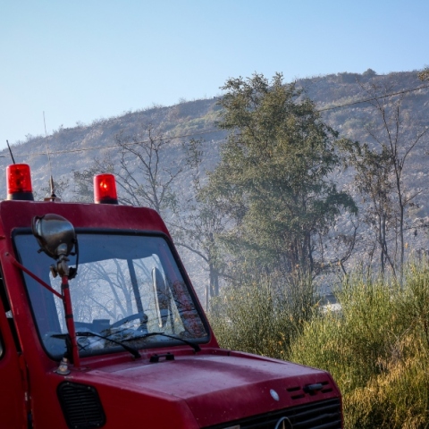 Φωτιά τώρα στον Ορχομενό - Επιχειρούν 4 αεροσκάφη και 2 ελικόπτερα