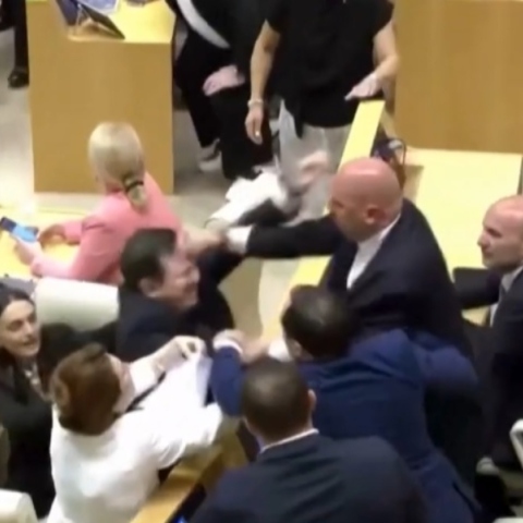 Άγριο ξύλο στο Κοινοβούλιο της Γεωργίας με τη συμμετοχή και γυναικών - Βίντεο