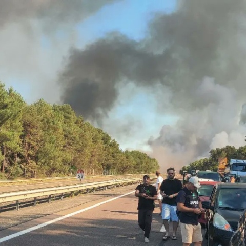 Μεγάλη πυρκαγιά έξω από το Παρίσι – Καίγεται το δάσος του Φοντενεμπλό