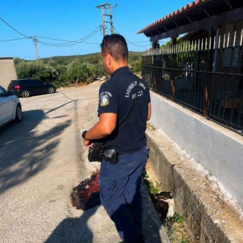 Φρίκη στην Κεφαλονιά: Άγνωστος πυροβόλησε και σκότωσε αδέσποτο σκυλί μέσα σε κατοικημένη περιοχή