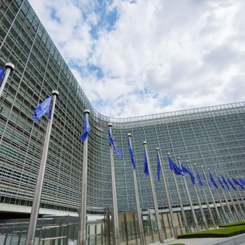 Το Συμβούλιο της ΕΕ ενέκρινε το 21ο πακέτο κυρώσεων κατά της Ρωσίας 