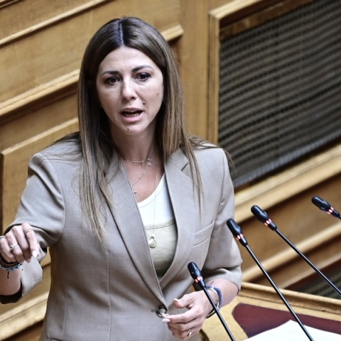 Ζαχαράκη για αναθεώρηση του Συντάγματος: Το ραντεβού με την ιστορία δεν πρέπει να το χάσουμε 