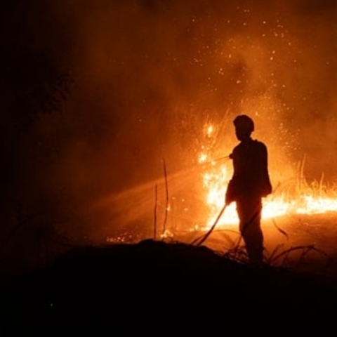 Συναγερμός στη Βρετανία – Πυρκαγιά απειλεί τον πυρηνικό σταθμό Sizewell B