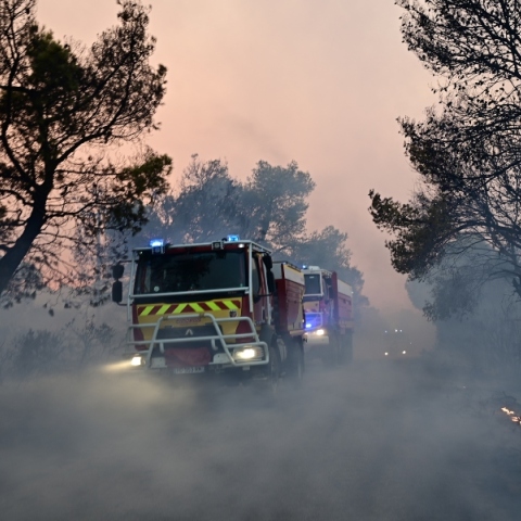 Συνελήφθη 66χρονος για πρόκληση πυρκαγιάς στην Χαλκιδική - Του επιβλήθηκε πρόστιμο 1.687,50 ευρώ
