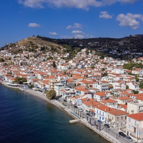 Φεστιβάλ της Λίμνης Ευβοίας