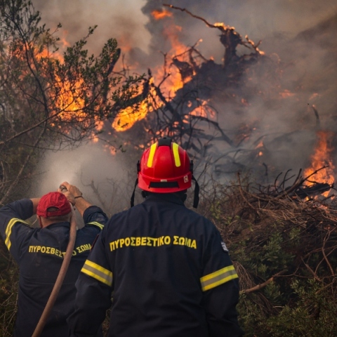 Φωτιά στη Χαλκιδική: Τρεις πυροσβέστες στο νοσοκομείο με αναπνευστικά προβλήματα
