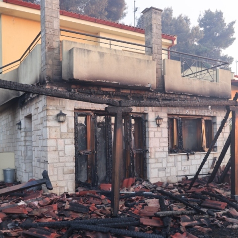 Χαλκιδική: Από πτώση δέντρου σε κολώνα ρεύματος φέρεται να ξεκίνησε η πυρκαγιά