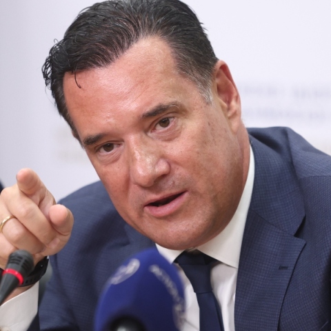 Γεωργιάδης για Καρυστιανού: Μην νομίζει ότι επειδή είναι γνωστή δεν θα ελεγχθεί