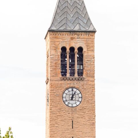 cornell university