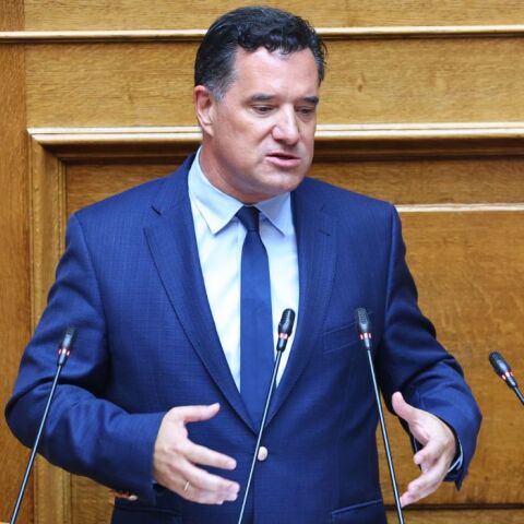 Γεωργιάδης σε Ανδρουλάκη: «Η μικρόψυχη αντιπολίτευση δεν θα σας κάνει πρωθυπουργό»