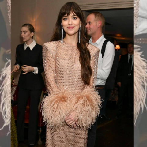 3 party inspo outifits από την Ντακότα Τζόνσον