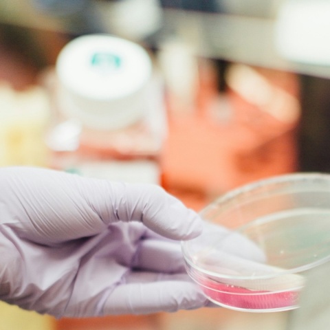 Εργαστήριο