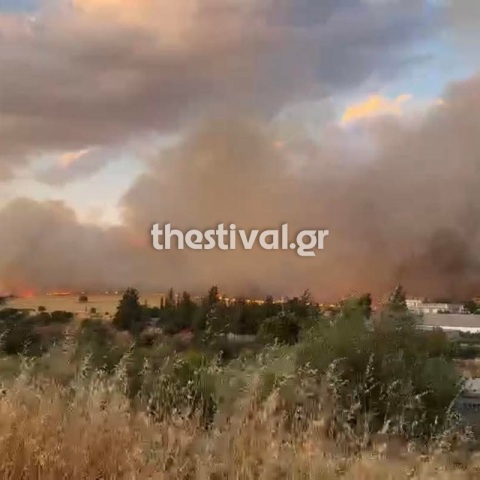 Φωτιά τώρα στο Ωραιόκαστρο Θεσσαλονίκης - Μήνυμα του 112 για εκκένωση της Ανθούπολης