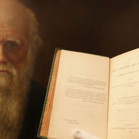 Σαν σήμερα ξεκινά το ταξίδι του Δαρβίνου με το πλοίο Beagle που θεμελίωσε τη Θεωρία της Εξέλιξης