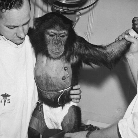 Σαν σήμερα το πρόγραμμα Μέρκιουρι - Ο χιμπαντζής Χαμ εκτοξεύεται στο διάστημα με τον πύραυλο Ρεντστόουν 2