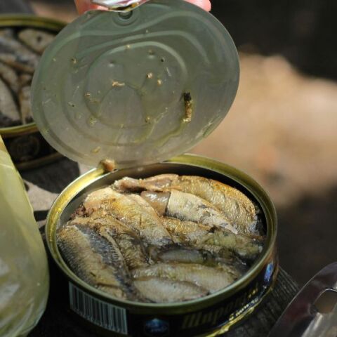 ΕΦΕΤ: Ανακαλείται φιλέτο γαύρου - Εντοπίστηκε ισχυρή βιοτοξίνη σε μη επιτρεπτά όρια